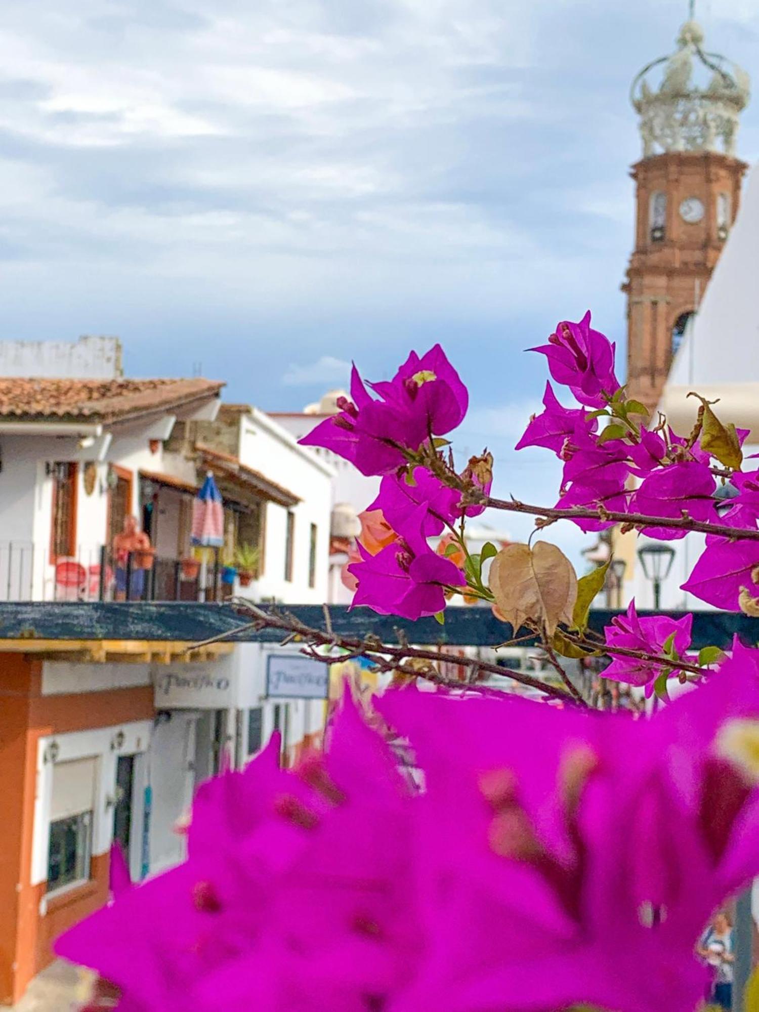 Casa Frida Gaylodging ปูแอร์โตบาญาร์ตา ภายนอก รูปภาพ